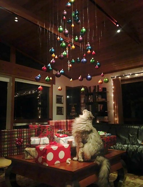Cách để bảo vệ cây thông Noel của bạn khỏi “giặc”… chó mèo - Ảnh 8