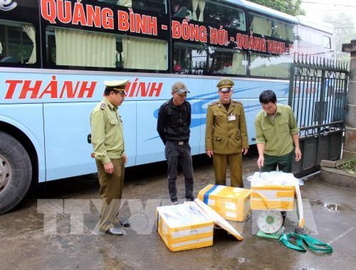 Bắt giữ nhiều lô hải sản bốc mùi ở Quảng Ninh - Ảnh 1