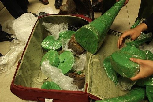 Phát hiện 50 kg sừng động vật vô chủ ở sân bay Nội Bài - Ảnh 1