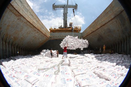 Dự báo xuất khẩu gạo năm 2017 nhiều triển vọng - Ảnh 1