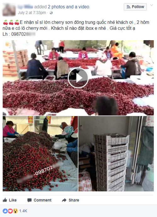 "Giật mình" giá Cherry Trung Quốc trên thị trường online - Ảnh 1
