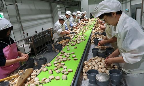 Khó tuyển công nhân tại ngôi làng giàu nhất Nhật Bản - Ảnh 1