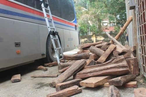 Xe khách biển số Lào giấu hơn 2,5 tấn gỗ trắc ở trên trần - Ảnh 1