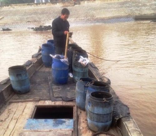 Ngao chết hàng loạt ở Thanh Hóa: Phát hiện mẫu chất thải độc hại - Ảnh 2