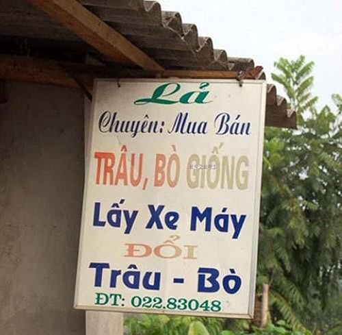 Bật cười với những tấm biển quảng cáo “Made in Việt Nam” - Ảnh 5