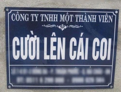 Bật cười với những tấm biển quảng cáo “Made in Việt Nam” - Ảnh 16