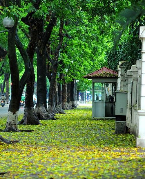 Top 5 địa điểm chụp ảnh mùa thu ở Hà Nội đẹp đến nao lòng - Ảnh 5