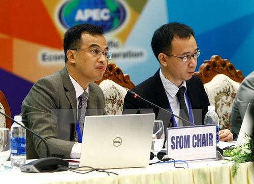 Hội nghị quan chức tài chính cao cấp APEC 2017 tại Quảng Nam - Ảnh 1