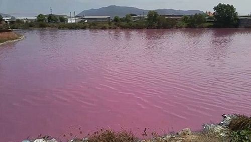 Kỳ lạ hồ nước bất ngờ chuyển màu hồng, bốc mùi hôi thối - Ảnh 1
