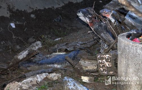 Hiện trường 2 vụ tai nạn giao thông ở Nghệ An, 6 người tử vong - Ảnh 6