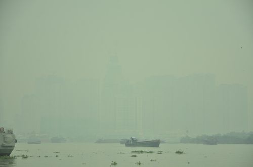 Sương mù dày đặc bao phủ Sài Gòn, người dân thích thú - Ảnh 2