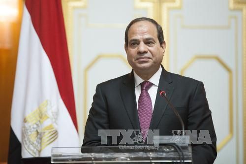 Tổng thống Ai Cập bắt đầu thăm cấp Nhà nước tới Việt Nam - Ảnh 1