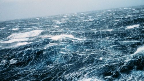 Tin tức mới nhất cơn bão số 9 giật cấp 10 trên Biển Đông - Ảnh 1