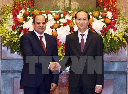 Thông cáo báo chí chung về chuyến thăm Việt Nam của Tổng thống Ai Cập - Ảnh 1