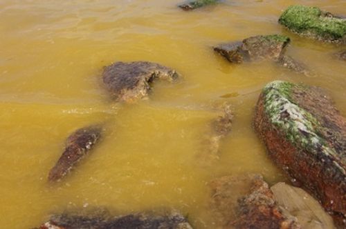 Xuất hiện dải nước màu vàng kỳ lạ tại Cảng Chân Mây - Huế - Ảnh 1
