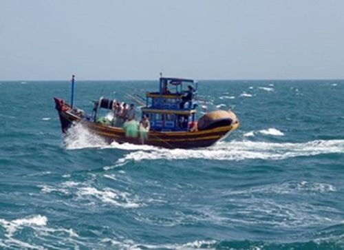 Sẩy chân, một ngư dân Bình Thuận rơi xuống biển mất tích  - Ảnh 1