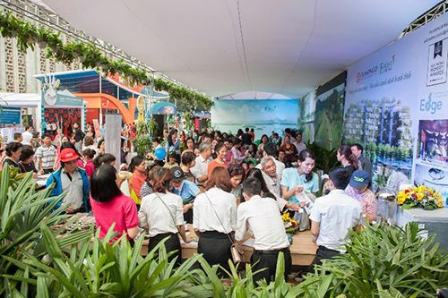Hàng nghìn lượt khách tham quan không gian nghệ thuật Flamingo Group tại VITM 20 - Ảnh 1