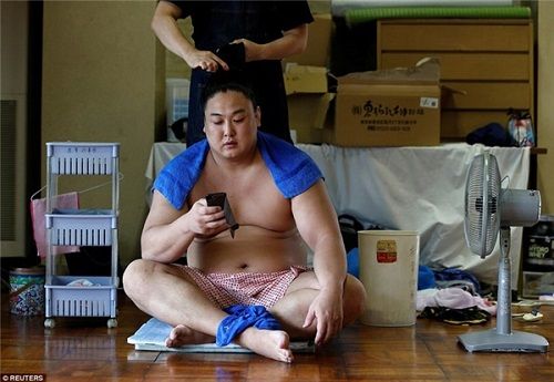 Cuộc sống của những lực sỹ Sumo khổng lồ: Ăn 8000 calo/ngày và thở bình oxy khi ngủ - Ảnh 3