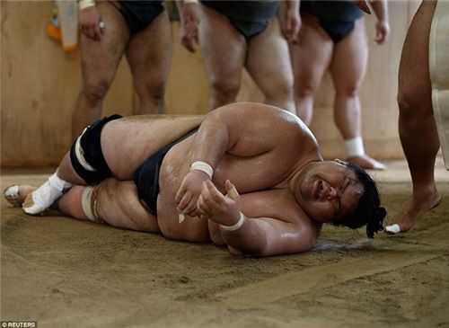 Cuộc sống của những lực sỹ Sumo khổng lồ: Ăn 8000 calo/ngày và thở bình oxy khi ngủ - Ảnh 4