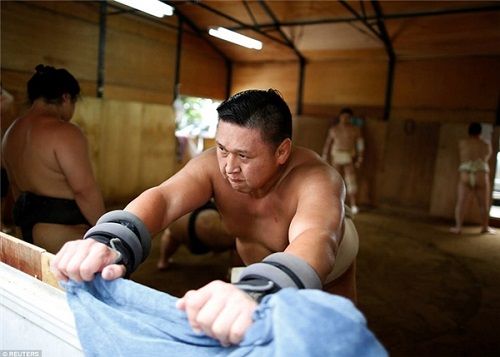 Cuộc sống của những lực sỹ Sumo khổng lồ: Ăn 8000 calo/ngày và thở bình oxy khi ngủ - Ảnh 1