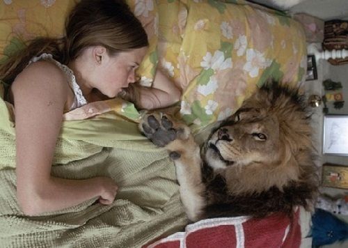 Bà mẹ hoảng sợ lo lắng khi thấy con gái ngủ cùng giường với sư tử - Ảnh 2