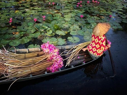 Ngắm vẻ đẹp mê hoặc của Việt Nam dưới ống  kính các nhiếp ảnh gia - Ảnh 5