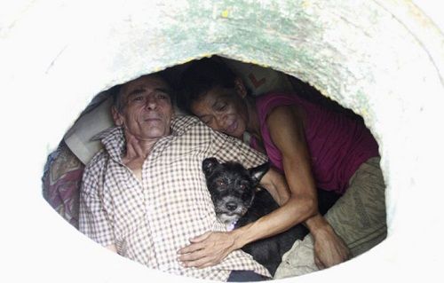 Cặp vợ chồng già cùng chú chó nhỏ  sống dưới ống cống bỏ hoang suốt 22 năm - Ảnh 1