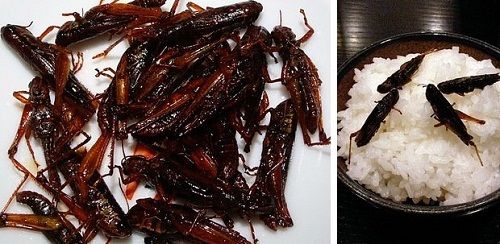 Những món ăn người châu Á coi là đặc sản còn người phương Tây không đụng đũa - Ảnh 8