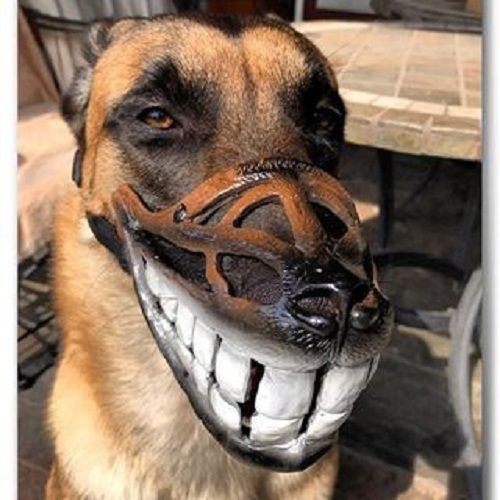 “Chết cười” với những kiểu rọ mõm chó độc đáo có “1-0-2” - Ảnh 1