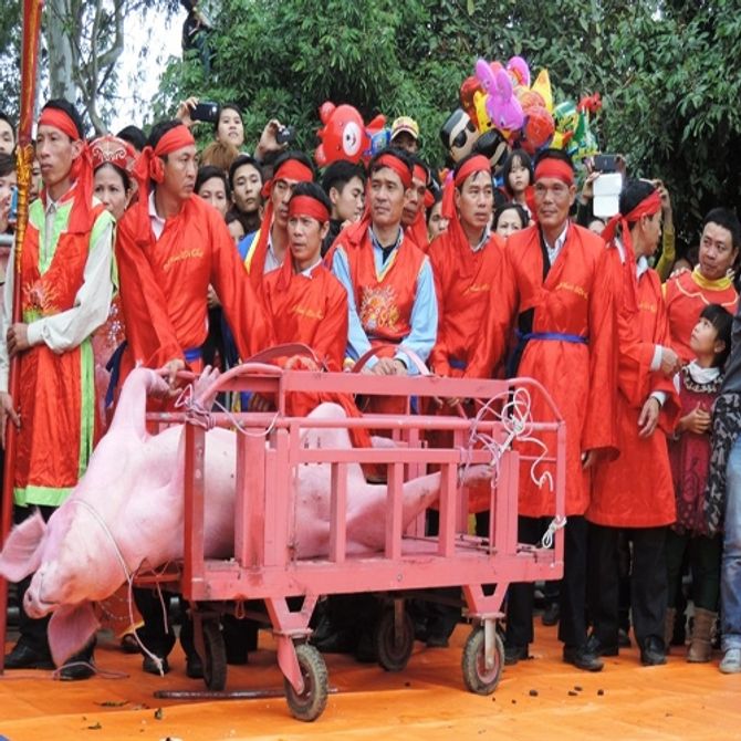 Lễ hội chém lợn ở Bắc Ninh: Bộ trưởng Nguyễn Văn Nên nói gì? - Ảnh 1