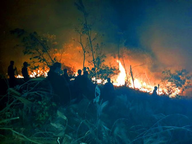 Cháy dữ dội, gần 6ha rừng keo Nam Sơn bị thiêu rụi - Ảnh 1