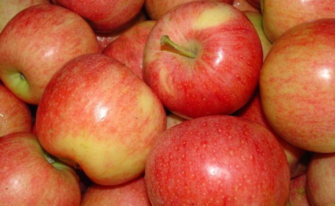 6 lí do quan trọng bạn nên ăn táo hàng ngày - Ảnh 1