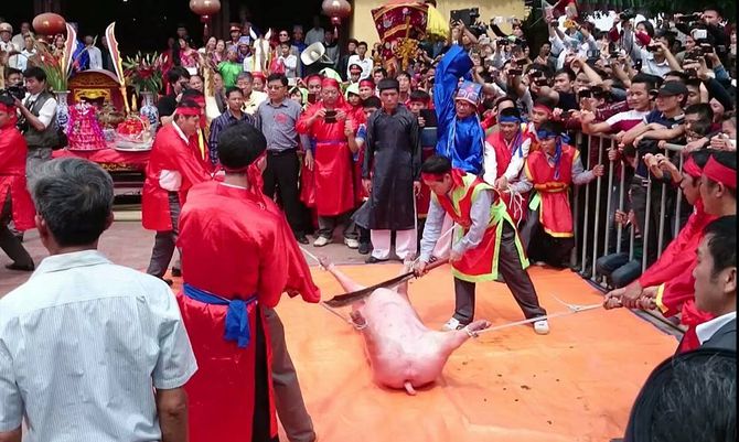 Lễ hội chém lợn ở Bắc Ninh: Máu nhuộm đỏ sân đình - Ảnh 7