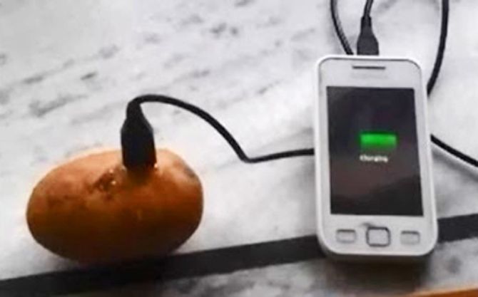 Bí kíp sạc pin điện thoại bằng...khoai tây - Ảnh 1