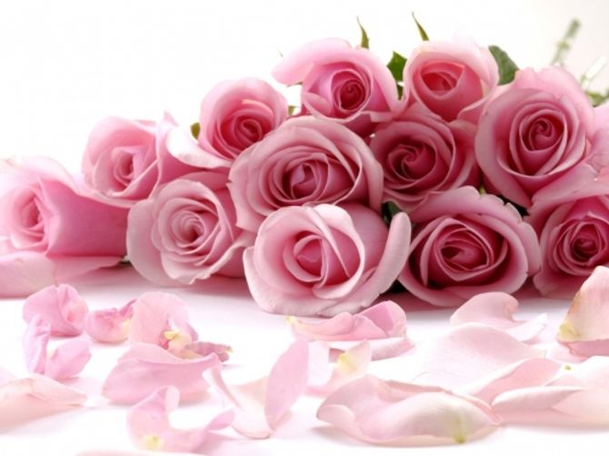 Valentine 2016: Tuyệt chiêu chọn hoa hồng tặng bạn gái  - Ảnh 2