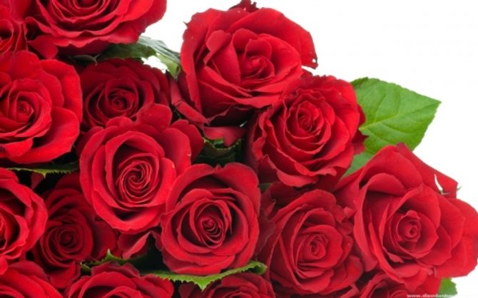  Valentine 2016: Tuyệt chiêu chọn hoa hồng tặng bạn gái  - Ảnh 1