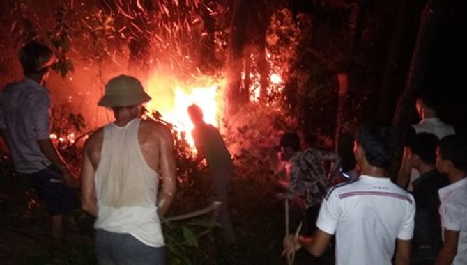 Cháy rừng thông, hàng trăm người dập lửa tại Hà Tĩnh - Ảnh 1