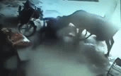 Video-Hot - Video: Bò nổi điên tấn công 2 kẻ cầm dao đâm thiếu nữ trẻ