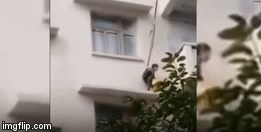 Video-Hot - Video: Phát hoảng cảnh ông bà dùng dây thả cháu xuống ban công tầng 5 để cứu mèo
