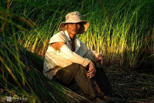 Vẻ đẹp siêu thực của cánh đồng cói Việt Nam - Ảnh 11