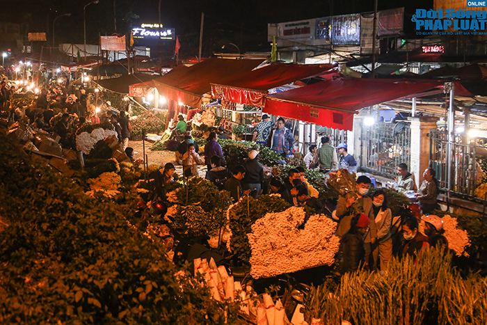 Dù còn chục ngày nữa mới đến Tết nhưng chợ hoa lớn nhất Hà Nội đã chật cứng người mua - Ảnh 1