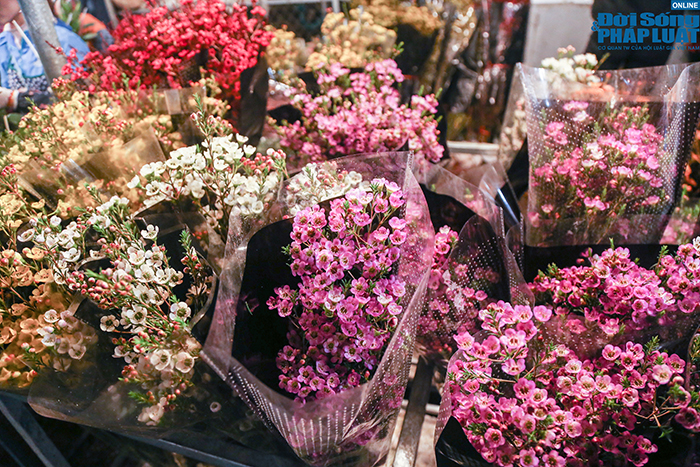 Dù còn chục ngày nữa mới đến Tết nhưng chợ hoa lớn nhất Hà Nội đã tấp nập người mua - Ảnh 3