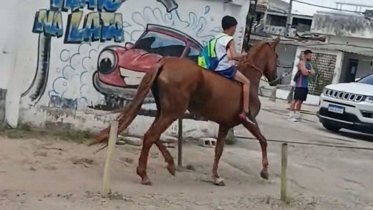 Tin thế giới - Xe đạp thủng lốp, cậu bé 11 tuổi cưỡi ngựa đến trường 