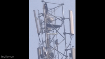 Cộng đồng mạng - Cô gái tự ý trèo lên một tháp phát sóng di động cao 50m để bày tỏ tình yêu khiến nhiều người ngao ngán