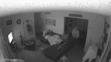 Video-Hot - Người mẹ sốc nặng khi thấy căn nhà có trộm 'ghé thăm'