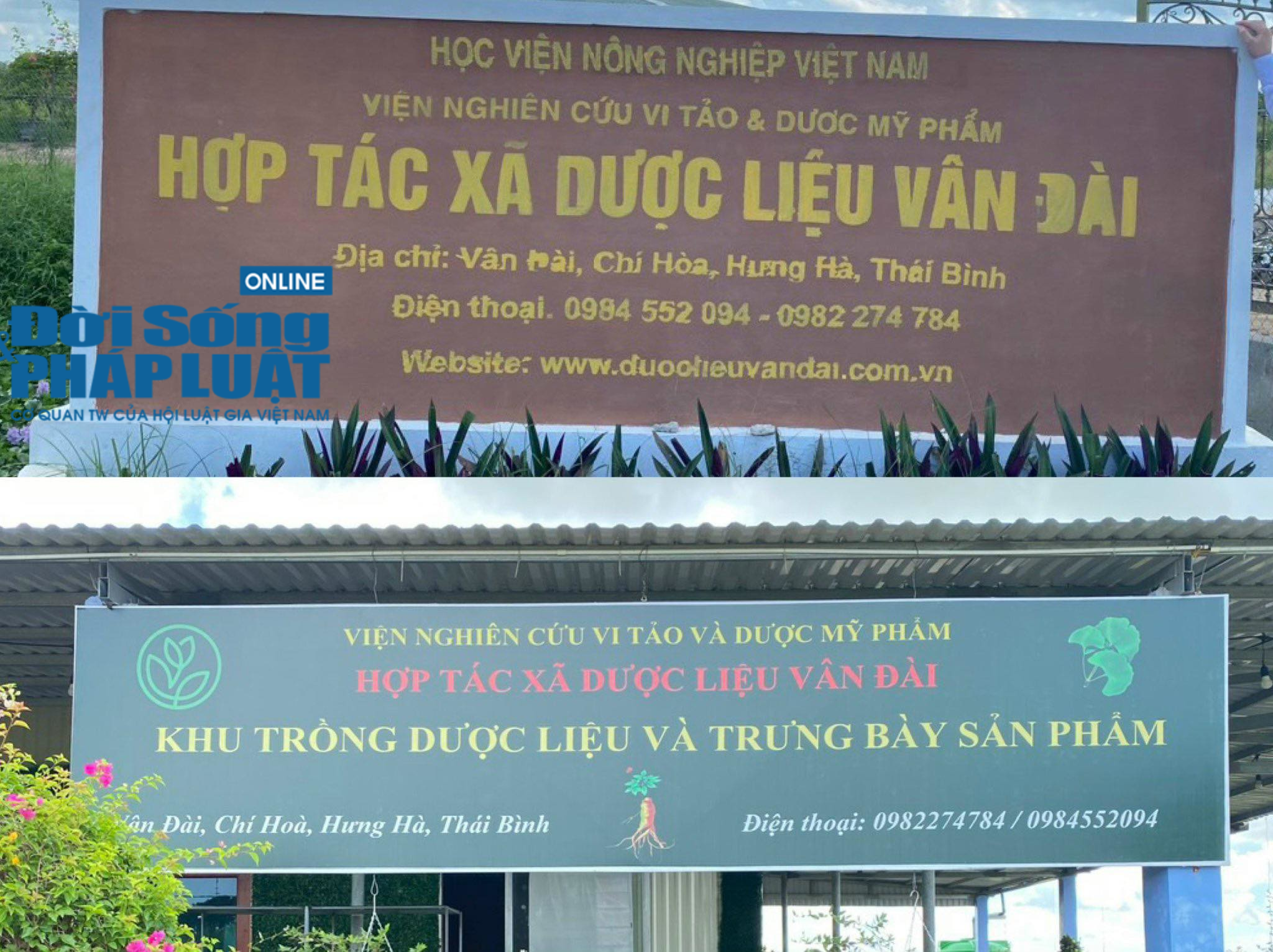 Kinh doanh - HTX Vân Đài có dấu hiệu mạo danh Học viện Nông nghiệp Việt Nam (Hình 8).