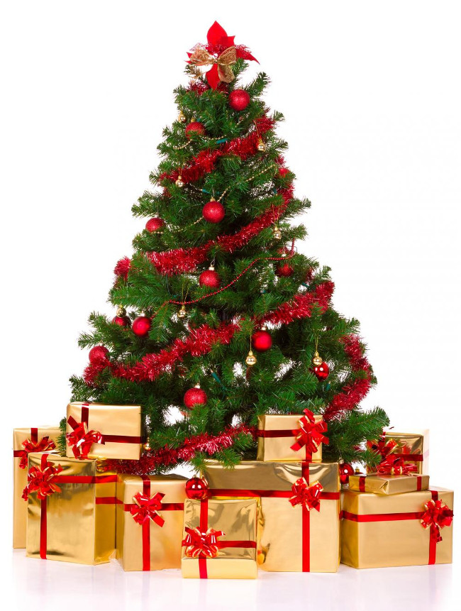 Hình ảnh cây thông Noel mùa Giáng Sinh ấn tượng nhất 2023