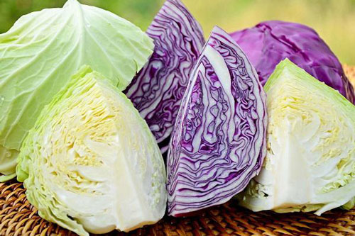 Ăn - Chơi - 5 nhóm người cần đặc biệt chú ý khi ăn rau bắp cải 