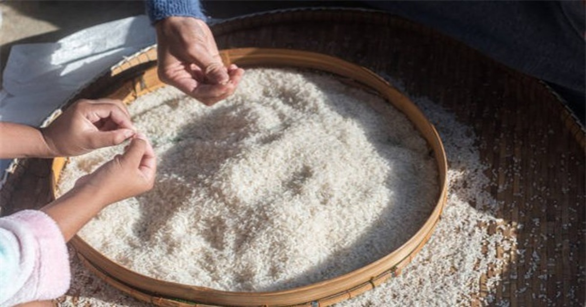 Tin thế giới - Giá gạo châu Á chạm mức cao nhất trong hơn 2 năm qua do El Nino