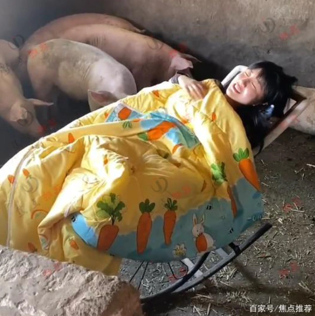 Ăn - Chơi - Cô gái trẻ có sở thích ngủ trong chuồng lợn khiến cộng đồng mạng tranh cãi